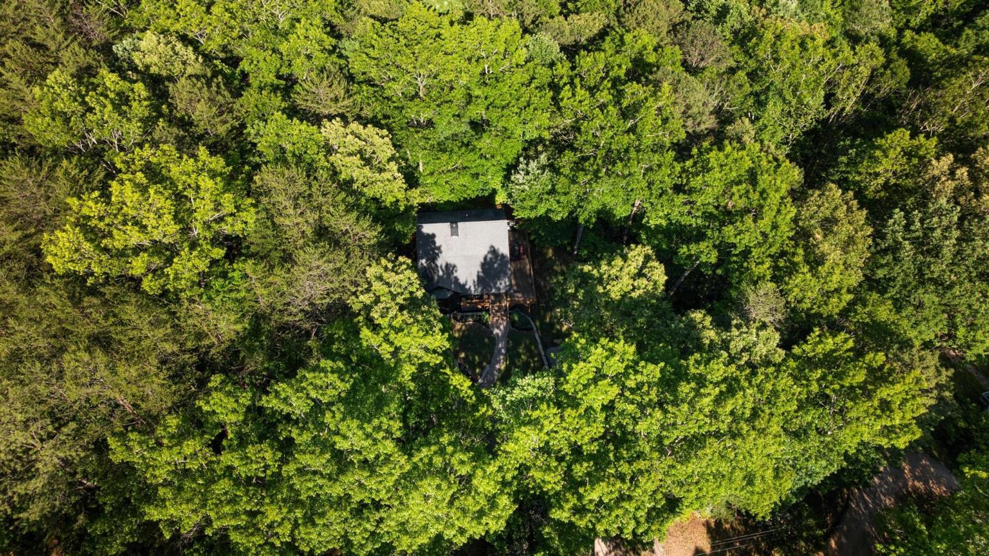 Serene Mountain And Sunset Views 3Bd Cabin Franklin Exterior photo